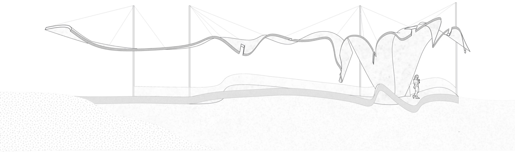 Long section: a rippling roof hung from masts over an undulating deck