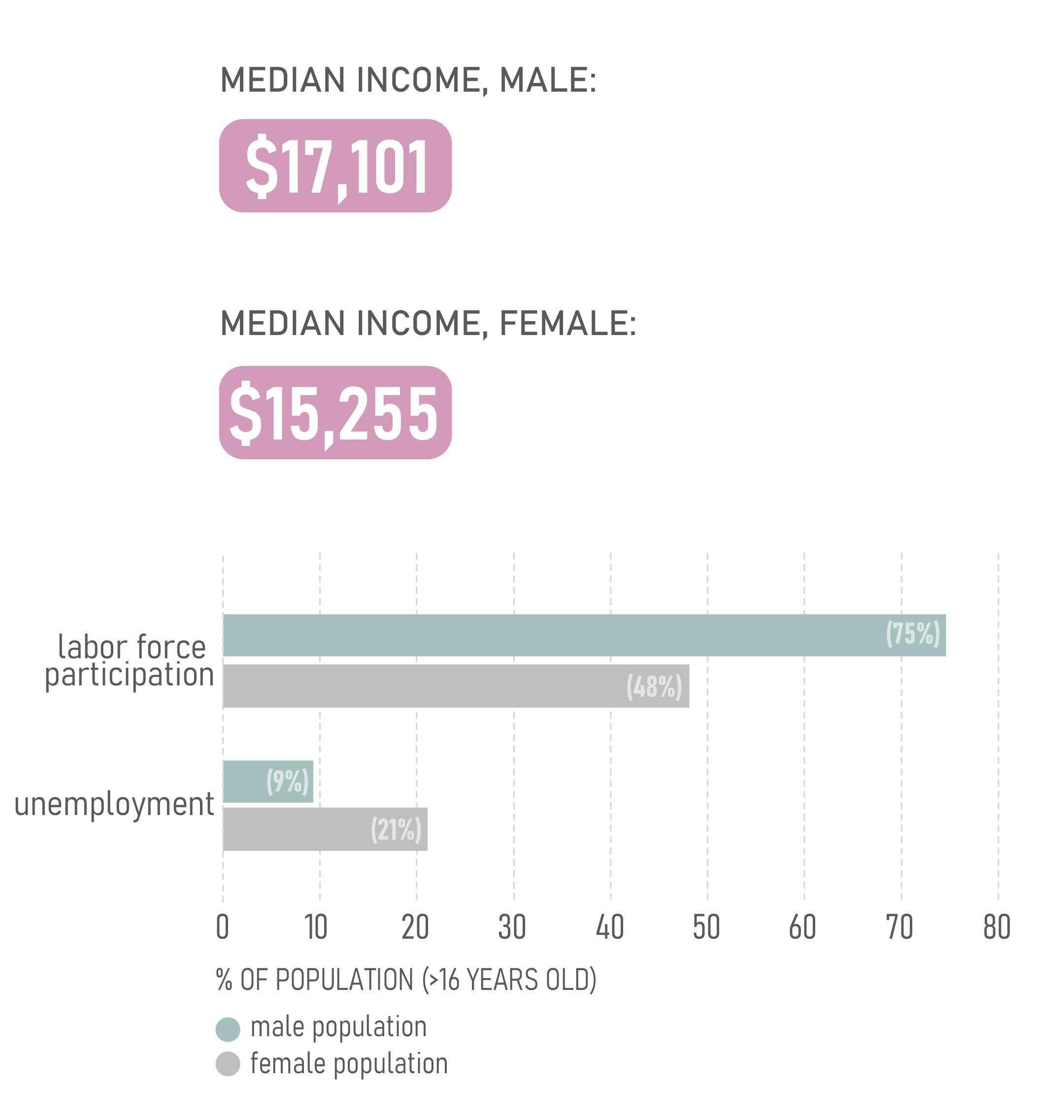 Charts of employment status and income in Vieques